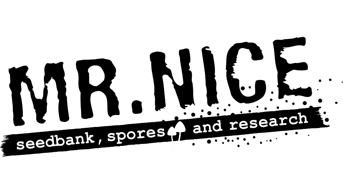 mrnice.com