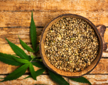 The best cannabis seeds